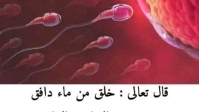 قال تعالى : خلق من ماء دافق يخرج من بين الصلب والترائب .. ما هما الصلب والترائب ؟ 