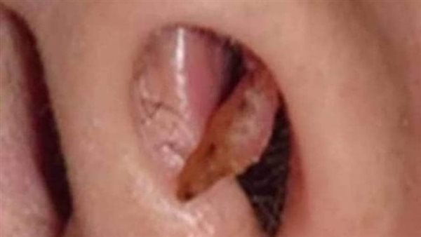 موقع أيام نيوز