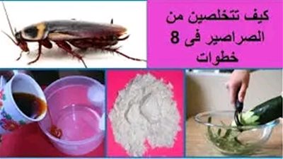 وصفة للقضاء على الصراصير