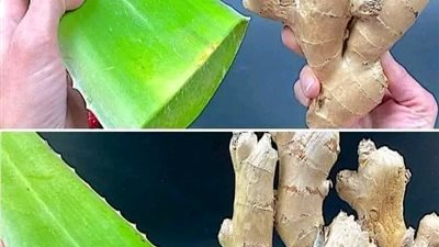  هذه القنبلة الطبيعية أقوى 150 مرة من الثوم والليمون إنها تدمر جميع البكتيريا وداعا للكحة وسيلان الأنف ورفع مناعتك