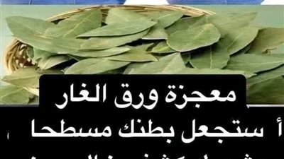 معجزة ورق الغار