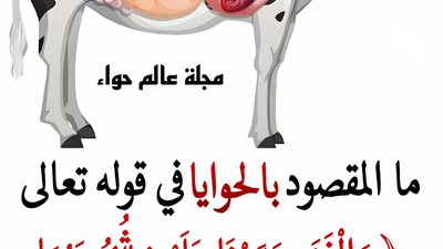 ما هي الحوايا في قول الله عز وجل وَالْغَنَمِ حَرَّمْنَا عَلَيْهِمْ شُحُومَهُمَا إِلَّا مَا حَمَلَتْ ظُهُورُهُمَا أَوِ الْحَوَايَا ؟