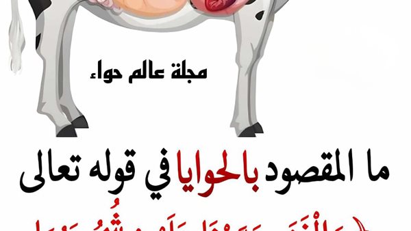 موقع أيام نيوز