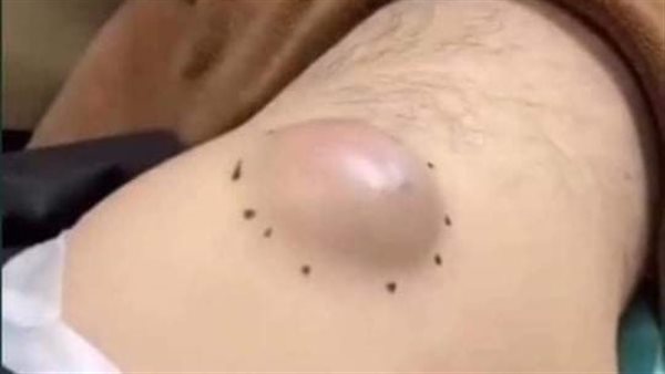 موقع أيام نيوز