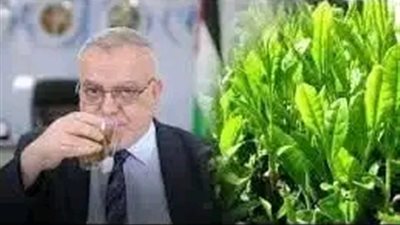 ورقة منها على الريق تذيب الدهــون وتحــرق الشحــوم في 3 أيام بدون ريجيم أبدا  مهما كانت كرشك كبيرة ومدلدله
