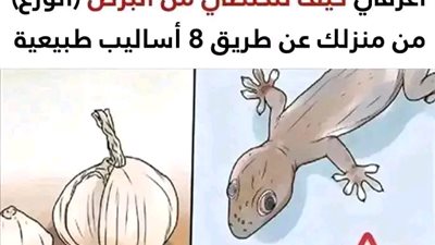 لا تتركي بيتك يصبح منزلاً له، واتبعي هذه الخطوات