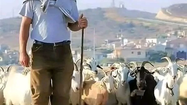 موقع أيام نيوز