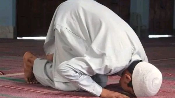 موقع أيام نيوز