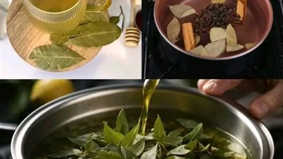 فوائد ورق الغار للجسم