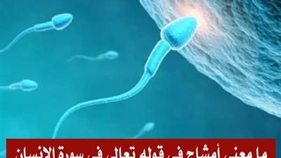ما معنى أمشاج فى قوله تعالى : إنا خلقنا الإنسان من نطفة أمشاج