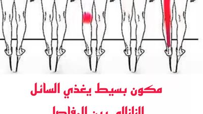 معجزة ربانية لا مثيل لها مكون بسيط يغذي السائل الزلالي بين المفاصل  يغذي الغضاريف ويعالج