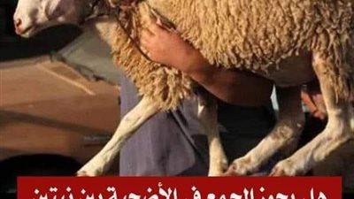 هل يجوز الجمع فى الاضحيه بين نيتين نيه الاضحيه ونيه العقيقه؟