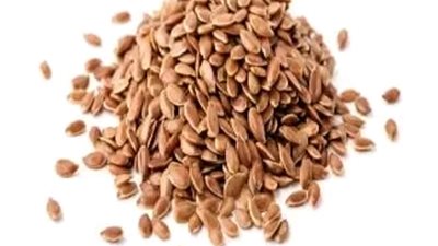 بذور الكتان 