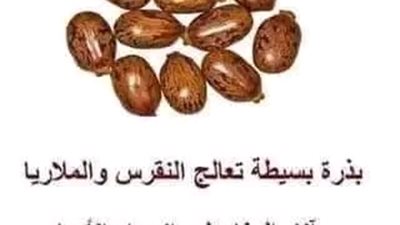 فوائد بذور الخروع