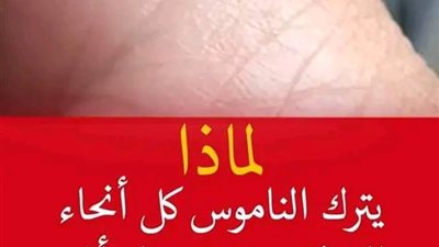 لماذا يترك الناموس كل أنحاء الغرفة.. ويزن بجوار أذن الإنسان؟.. سيصدمك السبب 