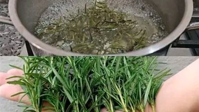 ماذا يحدث عندما تتناول إكليل الجبل كل يوم بعد الخمسين
