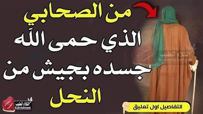 من هو الصحابي الذي حمى الله جسده بجيش من النحل؟ 