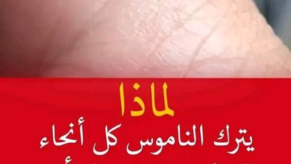 موقع أيام نيوز