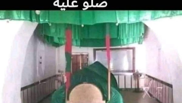 موقع أيام نيوز