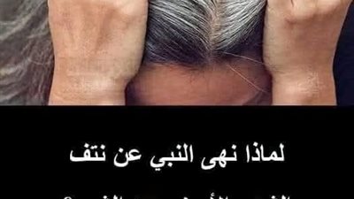 لماذا نهى النبي عن نتف الشيب الأبيض من الشعر؟.. هذا ما يفعله بصاحبه يوم القيامة  التفاصيل أول تعليق