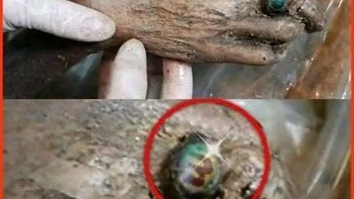 مومياء غامضة 