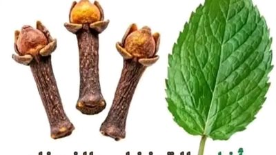 فؤائد القرنفل والنعناع 