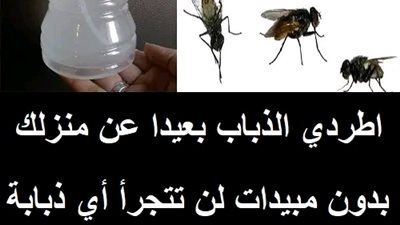اطردي الذباب بعيدا عن منزلك بدون مبيدات لن تتجرأ أي ذبابة على الدخول بعد اليوم 