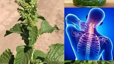 مجموعة علاجات طبيعية لالتهاب المفاصل سهلة و ذات مفعول قوي