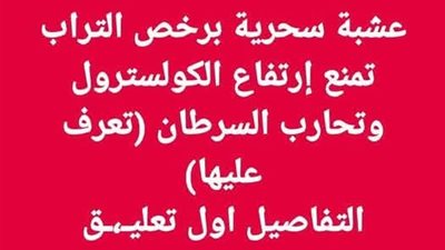 عشبة سحرية برخص التراب تمنع إرتفاع الكولسترول وتحارب السړطان