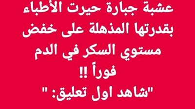 عشبة جبارة حيرت الأطباء 
