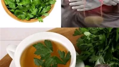 مشروب تنظيف الكلى وطرد السمۏم والتخلص من أمراض الكلى والحالب
