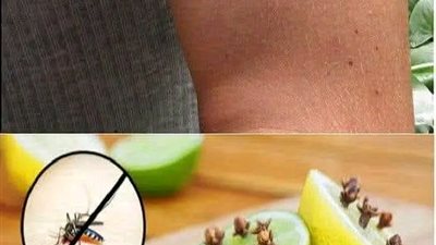 وداعا للنموس والهاموش والحشارات الطائرة ! غالبا ما يزعجوك في المنزل. طرق مفيدة للتخلص منهم بمكونين من المطبخ 