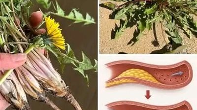 وصفة طارد ومذيب للبلغم .. وصفة منزلية سهلة تنظيف الرئة للكبار والصغار
