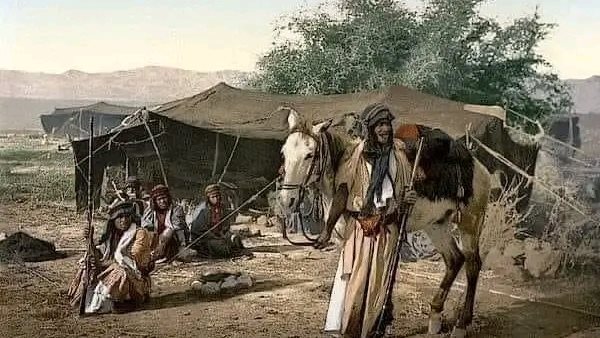 موقع أيام نيوز