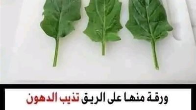 ورقة منها على الريق تذيب الدهون وټحرق الشحوم في 3 أيام بدون ريجيم أبدا مهما كانت كرشك كبيرة ومدلدله 