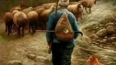 قصة رائعة 