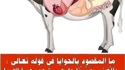 هل تعلم ما هي الحوايا في قول الله عز وجل 