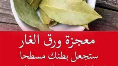 معجزة ورق الغار ستجعل بطنك مسطحا في فترة وجيزة شعر كثيف خالي من الشيب وجه أبيض ومشدود كالقمر! 