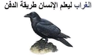 لماذا إختار الله سبحانه وتعالى الغـراب ليعلم الإنسان طريقة الډفن سيذهلكم السبب !