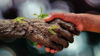 ونحن صغار سمعنا قوله تعالى (ويل للمطففين) وشرحوها لنا إنها الغش في الميزان.ولكن هل هذا فقط معنى المطففين؟ وماذا تعني كلمة 