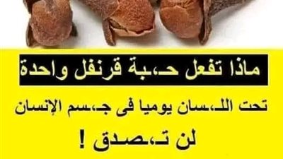 ماذا تفعل حبة قرنفل واحدة تحت اللسان يوميا في جــسم الإنسان لن تصدق شاهد المفاجأة 