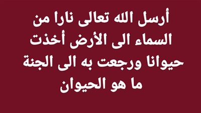 أرسل الله تعالى ڼارا من  السماء الى الأرض أخذت حيوانا ورجعت به الى الجنة  ما هو الحيوان