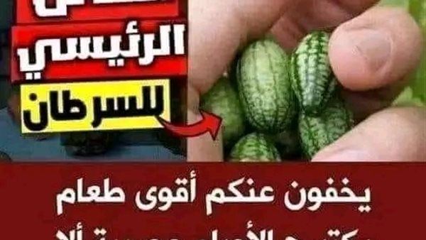 موقع أيام نيوز